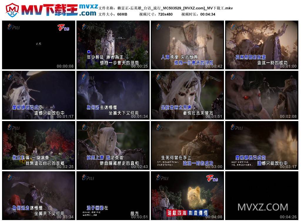 赖富正-忘英雄_台语_流行_MC503529